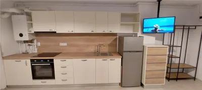 PRIMA CHIRIE APARTAMENT DE INCHIRIAT 2 CAMERE-PARCARE,TURNISOR! - foto 20