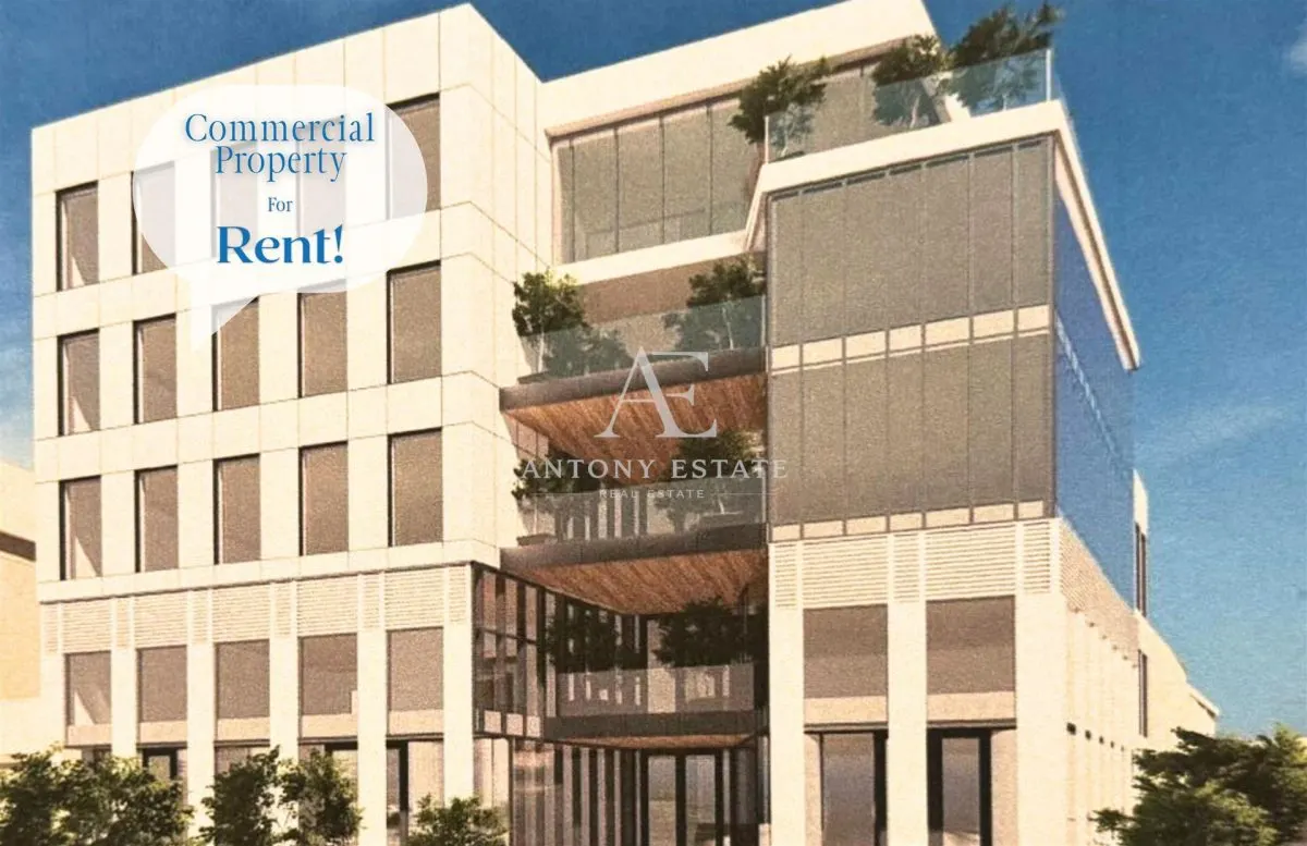 Antony Estate | Birouri de inchiriat, UltraCentral, Oradea - foto 1
