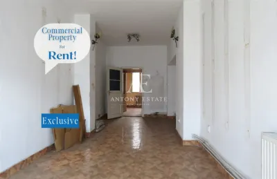 Antony Estate | Cazare muncitori, Spatiu Comercial de inchiriat, Central - Oradea - Oradea