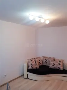 2 camere - Dacia - Etaj 4 - foto 3