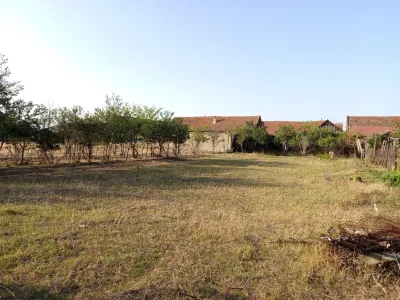 Berliste, Casa 6 Incaperi, 1129mp Teren, Pret Negociabil - foto 9
