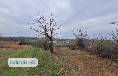 Antony Estate | Teren intravilan, de vanzare - Oradea, Bihor - foto 6