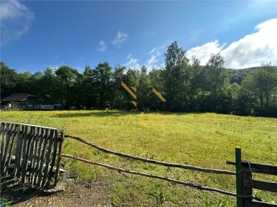 Teren intravilan de vanzare, Nistru - foto 2