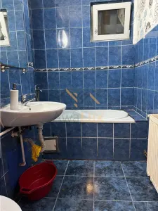Apartament de vanzare, George Enescu - foto 10