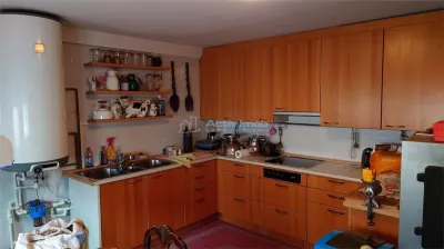 Casa tip Parter, amprenta 346 mp, teren 7241 mp, POGOANELE - foto 14
