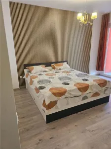 1 cam - zona Ared Uta - foto 2