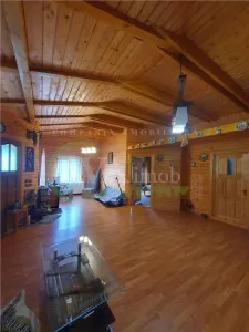 Podis, casa P+1, mobilata, teren 5600mp - Bacau
