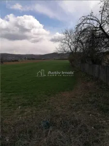 Teren generos, in zona viti-vinicola, ideal pentru construirea unei casute la tara - foto 3