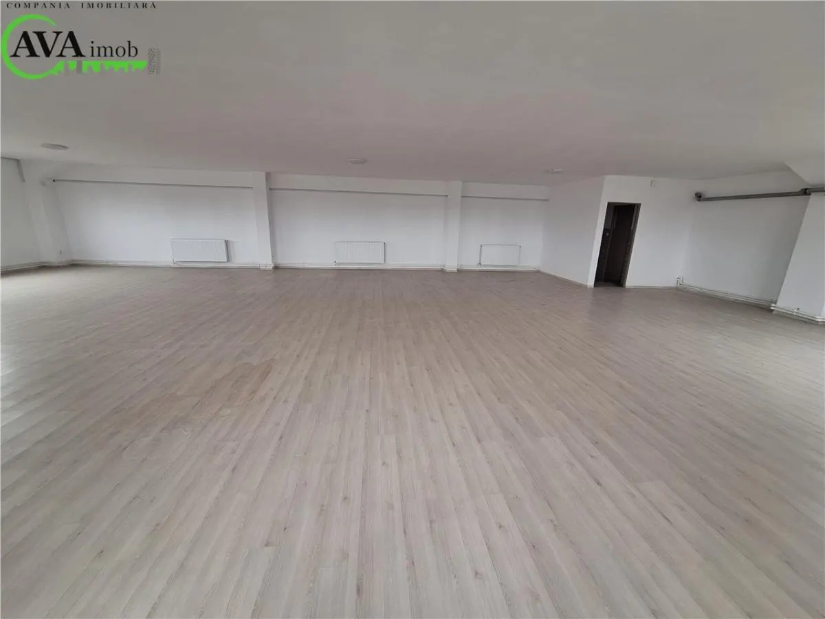 Spatii de birouri 320 mp (160 mp pe nivel)+hala de 600 mp, in Bacau - foto 8