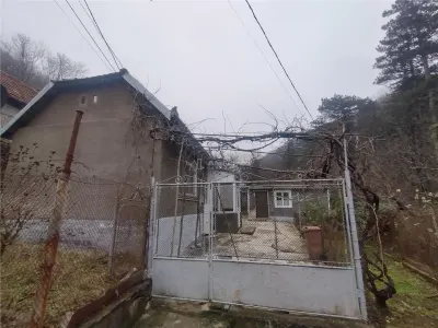 Oravita, Casa de Vacanta, PRET FIX, Zona Lacul Mare - foto 15