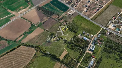 Antony Estate | Teren de vanzare in Sanmartin - Sanmartin
