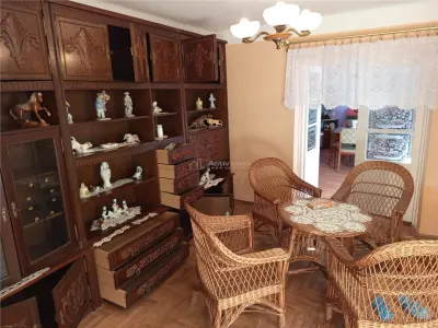 Ciclova, Casa 10 Incaperi, pt 2 Familii, 1439mp Teren - foto 3