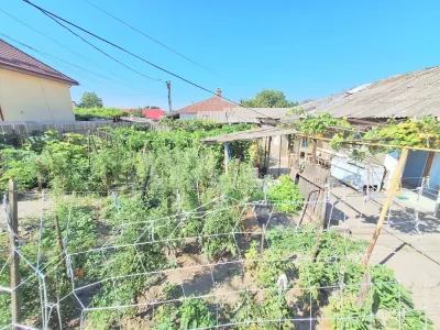 Teren 371 mp curti constructii+casa 5 camere si anexe, zona Izvoare - foto 20