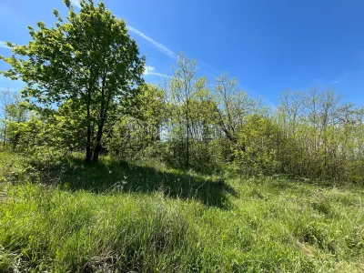 Lugoj Teren  5.300 Mp., Dealul Viilor,  Priveliste Impresionanta - foto 11