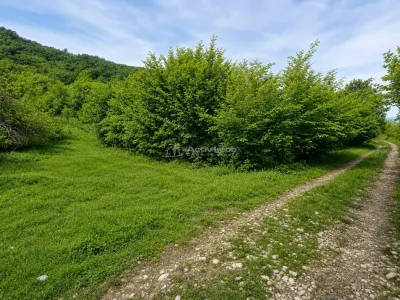Teren  pentru cabana la liziera padurii Talmaciu - Talmaciu