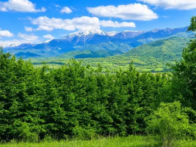 Teren  pentru cabana la liziera padurii Talmaciu - foto 3