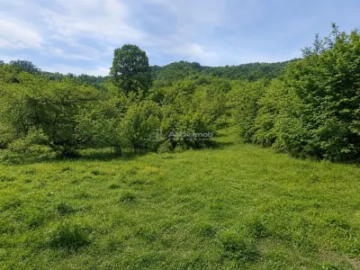 Teren  pentru cabana la liziera padurii Talmaciu - foto 7