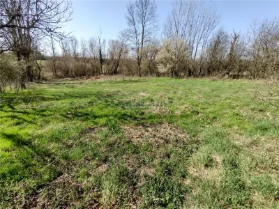 Rachitova, Casa 8 Incaperi, 3800mp Teren, Usor Negociabil - foto 6