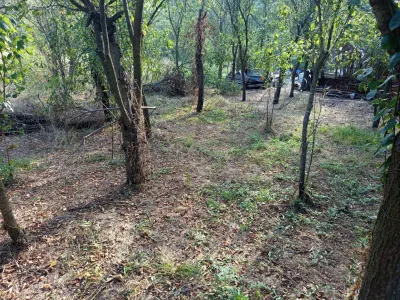 Naidas, Casa 7 Incaperi, 842mp Teren, Pret Negociabil - foto 22