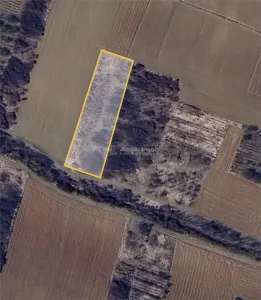 Teren extravilan de vanzare – Dealul Viilor, Biharia | 3000 mp - Biharia