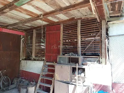 Iam, Casa 5 Camere, Gospodarie, 1439mp Teren, Usor Negociabil - foto 10