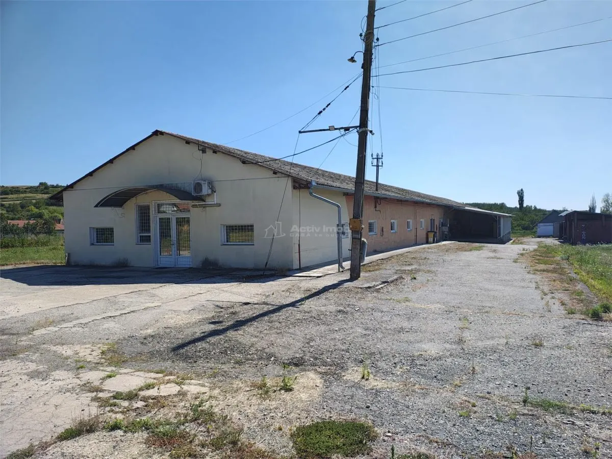 Hala industriala de vanzare sau inchiriere– Misca - judetul Bihor - 972 mp construiti  -Teren 12538 mp - Utilitati complete - foto 1