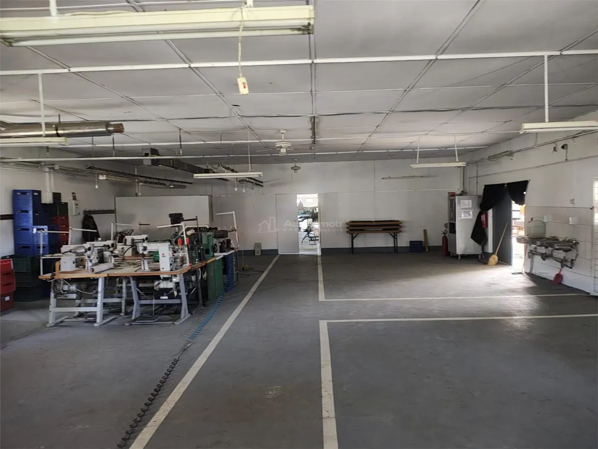 Hala industriala de vanzare sau inchiriere– Misca - judetul Bihor - 972 mp construiti  -Teren 12538 mp - Utilitati complete - foto 13