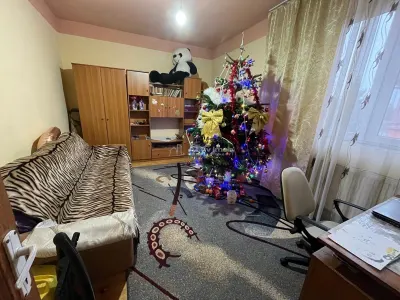 Caransebes, 2 Camere, Dec., Zona Sesu Rosu - foto 4