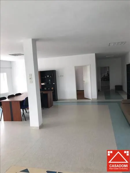 Hala renovata, cu acces rapid la autostrada - foto 5