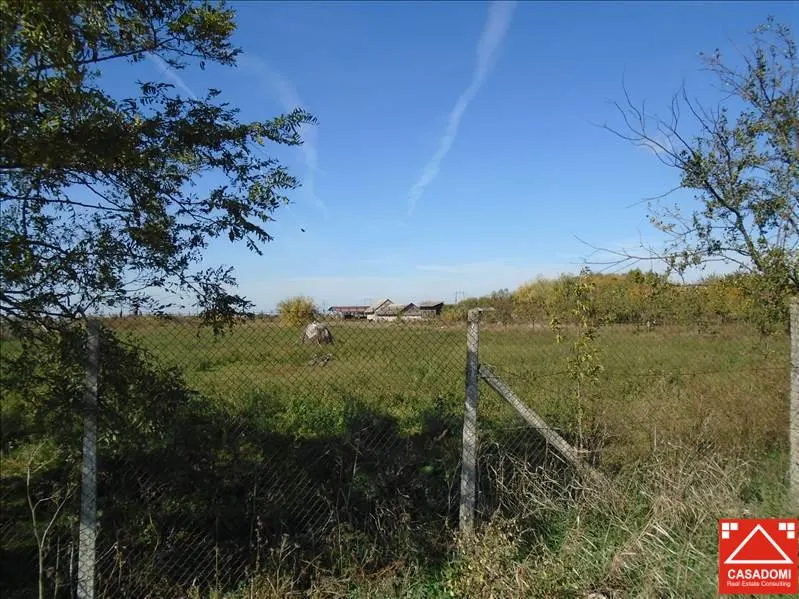 Teren intravilan, zona centura nord - foto 2