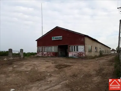 Teren pentru afacere, Aradul Nou - Arad