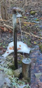 De vanzare teren intravilan AZUGA - foto 10