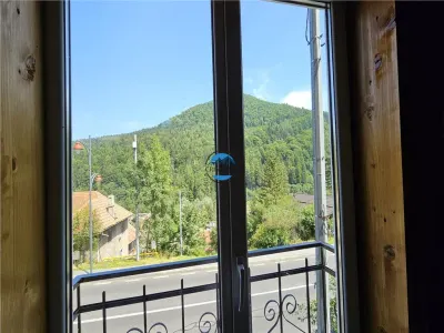 Vila de vanzare in SINAIA - foto 8