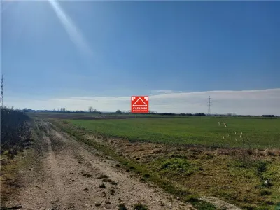 Teren arabil, zona Turnu - foto 3