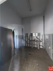 Cladire ultracentrala cu curte privata, pentru activitati diverse - foto 13