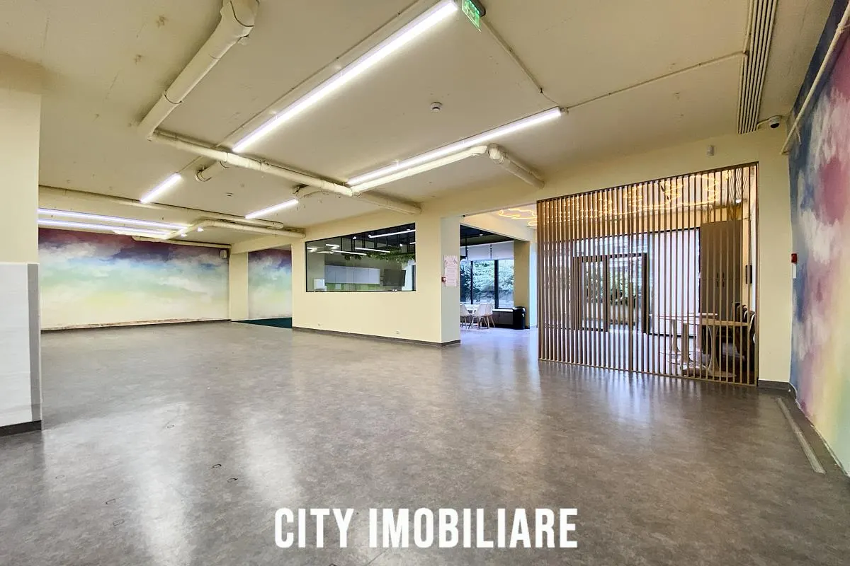 Spatiu comercial 250 mp + terasa 50 mp, Grigorescu, Parter, Ideal HoReCa / Showroom - foto 14
