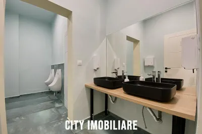 Spatiu comercial 250 mp + terasa 50 mp, Grigorescu, Parter, Ideal HoReCa / Showroom - foto 16