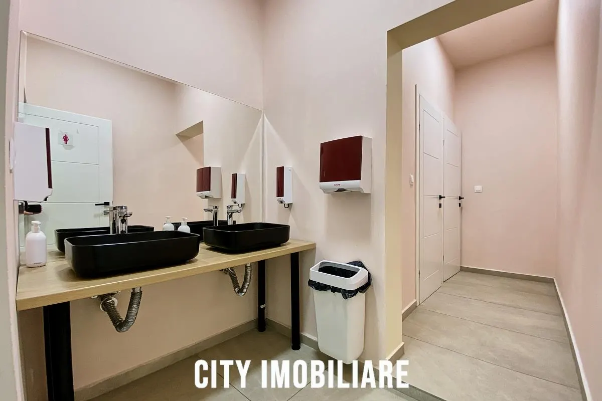 Spatiu comercial 250 mp + terasa 50 mp, Grigorescu, Parter, Ideal HoReCa / Showroom - foto 17