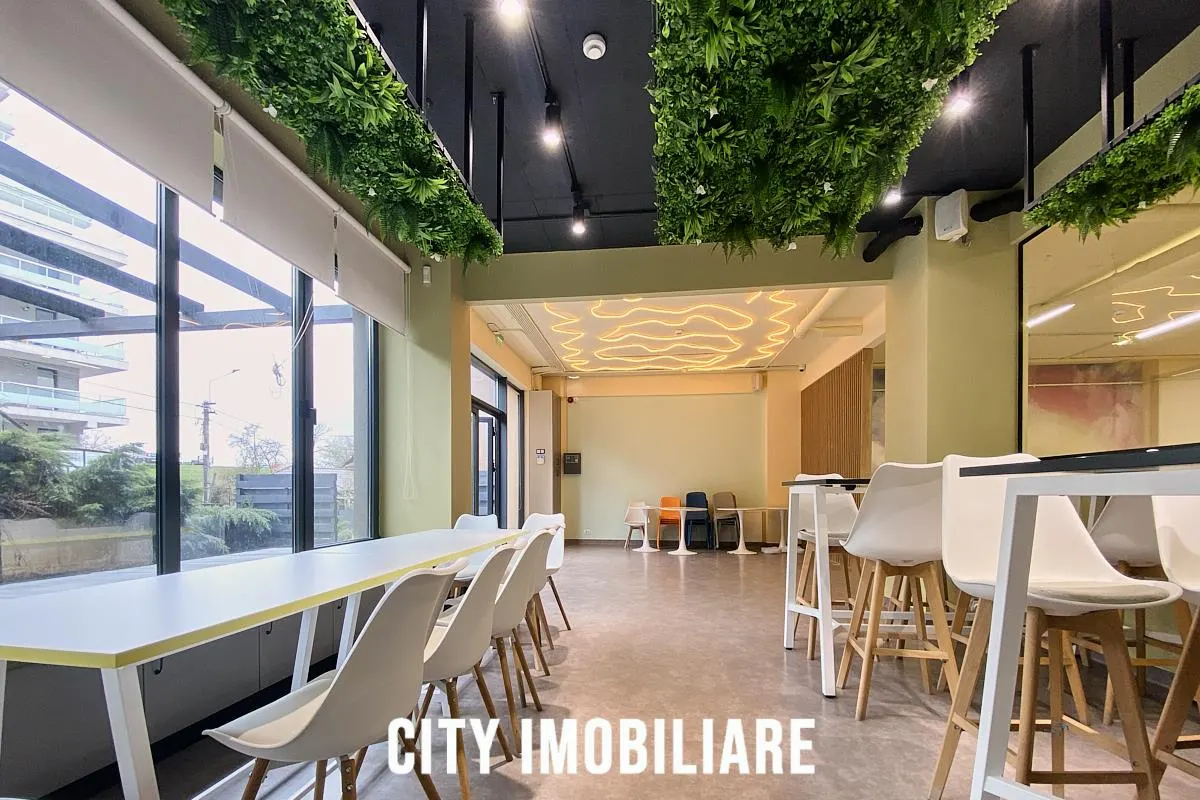 Spatiu comercial 250 mp + terasa 50 mp, Grigorescu, Parter, Ideal HoReCa / Showroom - foto 7