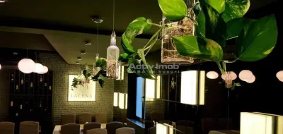 Vânzare Vila Spatiu Comercial-Zona Armenească - foto 6