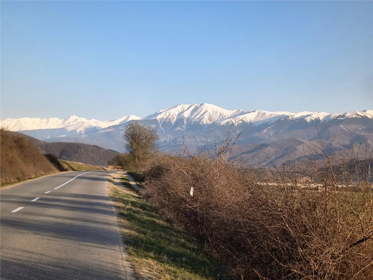 Teren extravilan de vanzare Talmaciu - foto 3