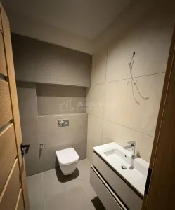 vila 6 camere - 280 mp - zona Aviatiei/Baneasa - pentru locuit sau activitate comerciala - foto 11