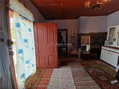 Casa Giurgiu Ghimpati- Sat Bila - foto 15