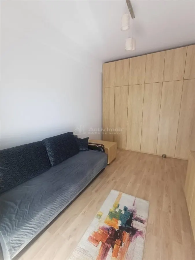 Studio de inchiriat Doamna Stanca - foto 4