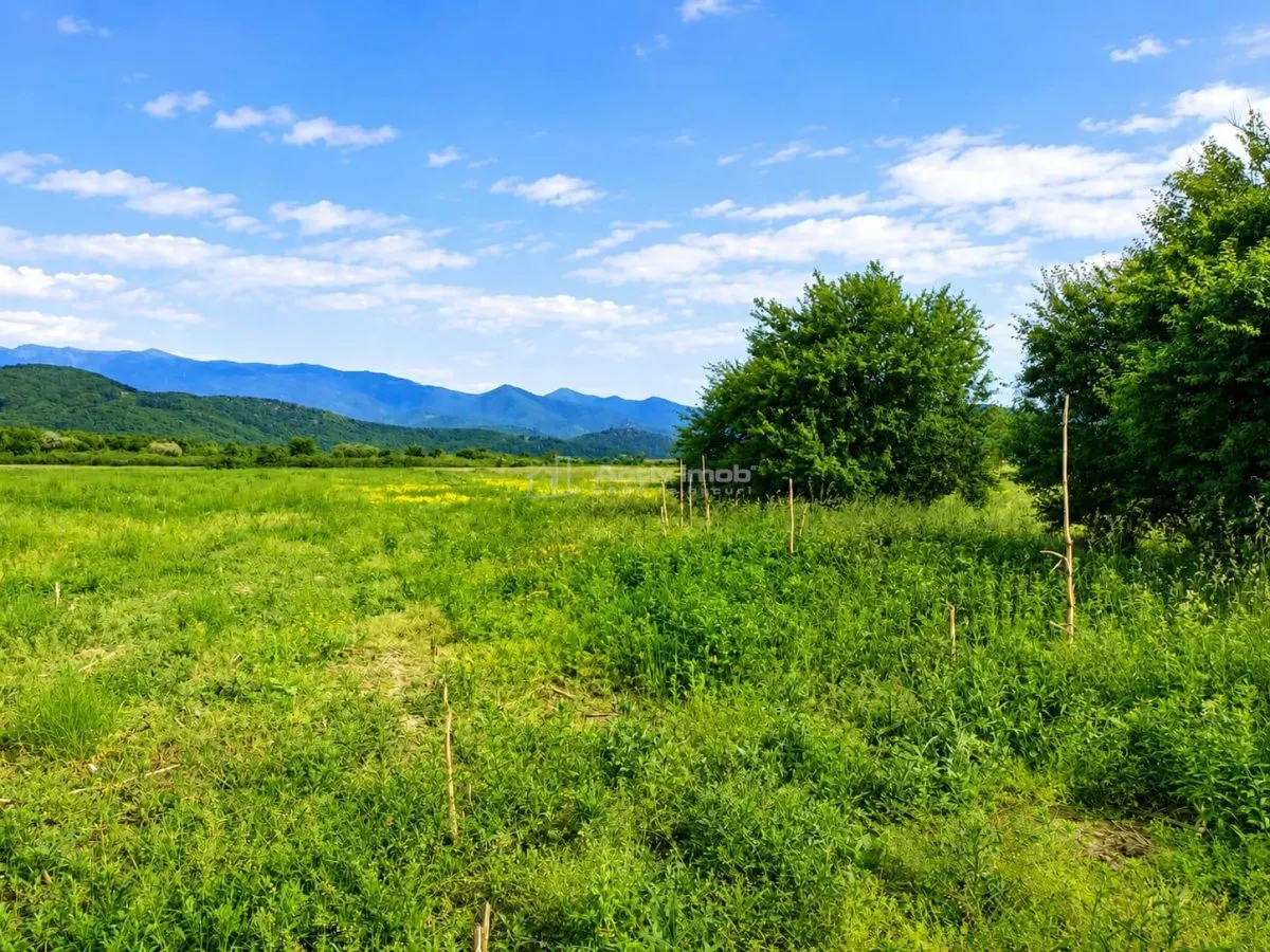 Teren extravilan  de vanzare Talmaciu - foto 2