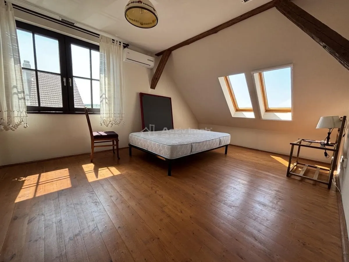 Proprietate de patrimoniu pe malul lacului Paleu - Teren 2.300 mp - piscina - Coliba lui Horea – casa istorica din secolul XVIII - foto 12