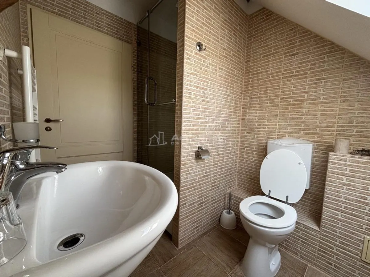 Proprietate de patrimoniu pe malul lacului Paleu - Teren 2.300 mp - piscina - Coliba lui Horea – casa istorica din secolul XVIII - foto 13