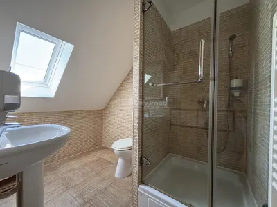 Proprietate de patrimoniu pe malul lacului Paleu - Teren 2.300 mp - piscina - Coliba lui Horea – casa istorica din secolul XVIII - foto 15