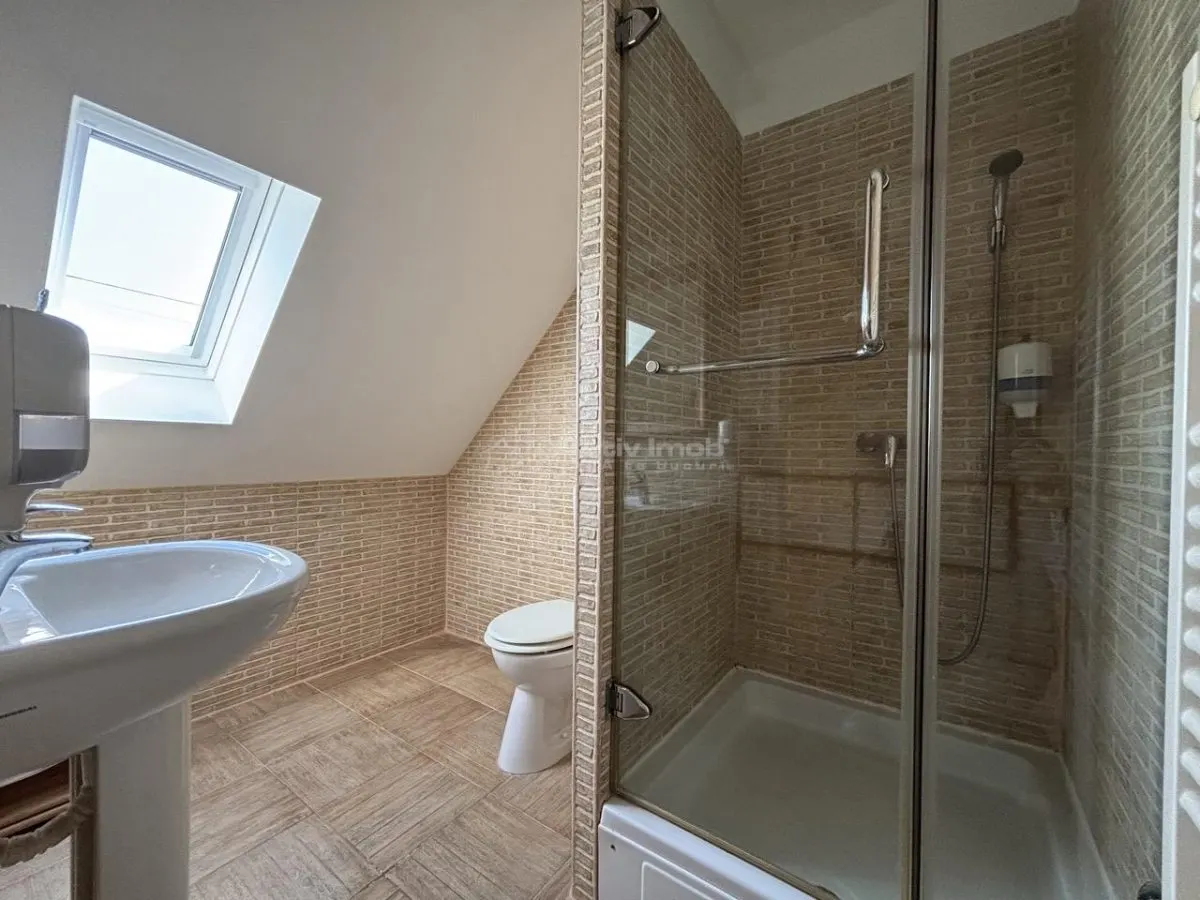 Proprietate de patrimoniu pe malul lacului Paleu - Teren 2.300 mp - piscina - Coliba lui Horea – casa istorica din secolul XVIII - foto 15