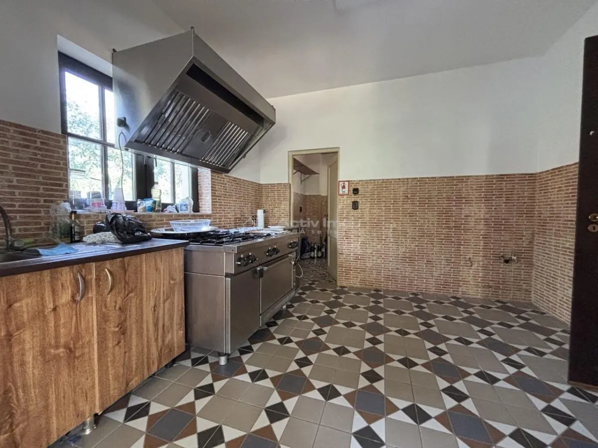 Proprietate de patrimoniu pe malul lacului Paleu - Teren 2.300 mp - piscina - Coliba lui Horea – casa istorica din secolul XVIII - foto 10